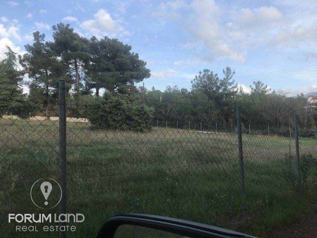 forumland Real Estate, 5.100τμ. αγροτεμάχιο