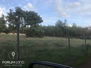 forumland Real Estate, 5.100τμ. αγροτεμάχιο