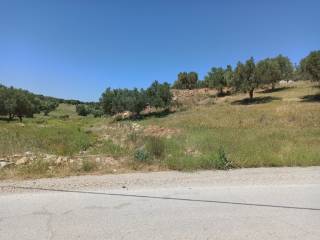 PROSOPSE 16 m. SE ASPHALTOSTROMENE ODO