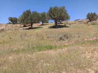 TMEMA TOY AGROTEMACHIOY