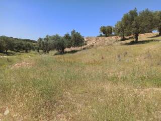 TMEMA TOY AGROTEMACHIOY