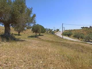 TMEMA TOY AGROTEMACHIOY