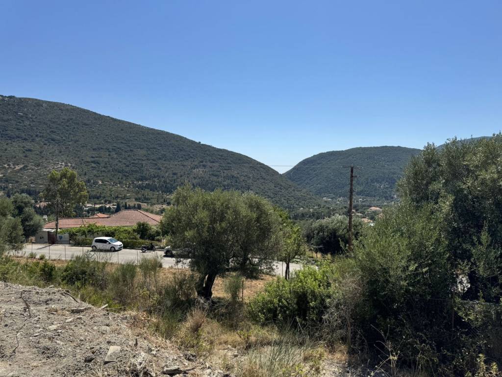 Landscape and view from the plot