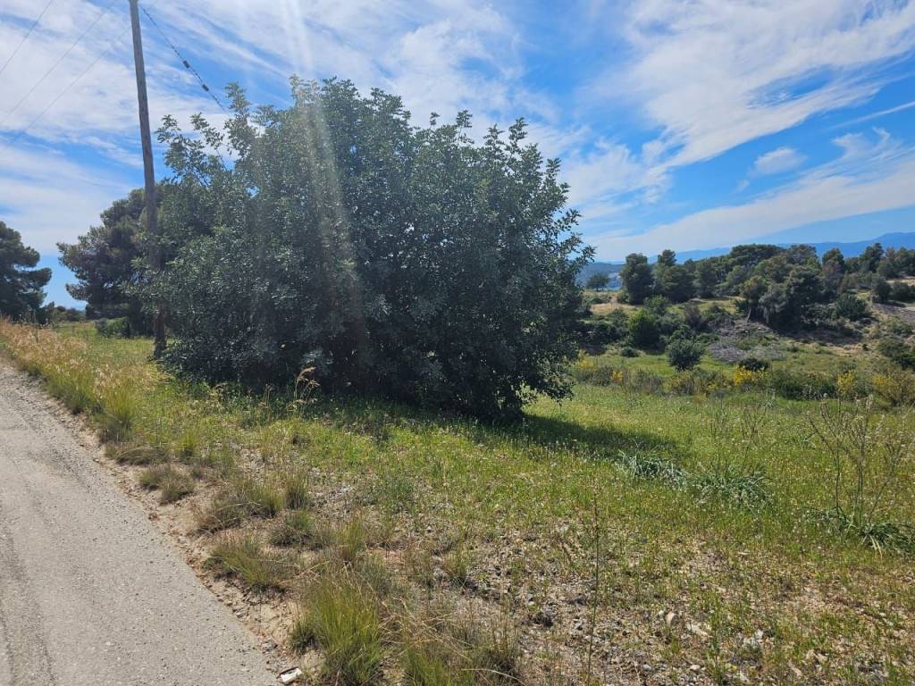 area of 140 acres is for sale in Costa, Porto Heli.