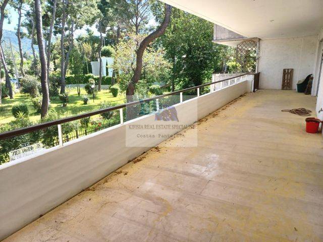 BACK VERANDA - COMMON GARDEN