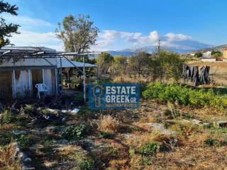 ★ Γωνιακό  ★  ΚΤΙΖΕΙ 314τμ ★ Με αγροτική αποθήκη ★