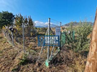 ★ Γωνιακό ★ ΚΤΙΖΕΙ 314τμ ★ Με αγροτική αποθήκη ★