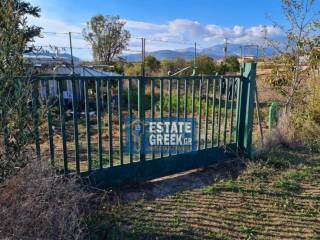 ★ Γωνιακό ★ ΚΤΙΖΕΙ 314τμ ★ Με αγροτική αποθήκη ★