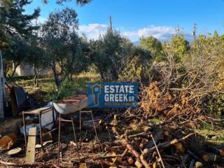 ★ Γωνιακό ★ ΚΤΙΖΕΙ 314τμ ★ Με αγροτική αποθήκη ★