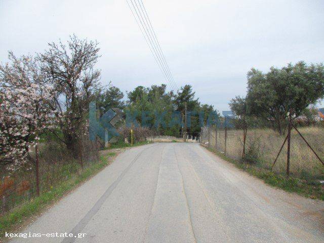 ΦΩΤΟ ΑΓΡΟΤΕΜΑΧΙΟΥ