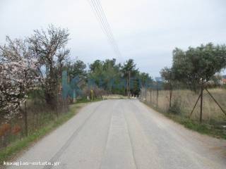 ΦΩΤΟ ΑΓΡΟΤΕΜΑΧΙΟΥ