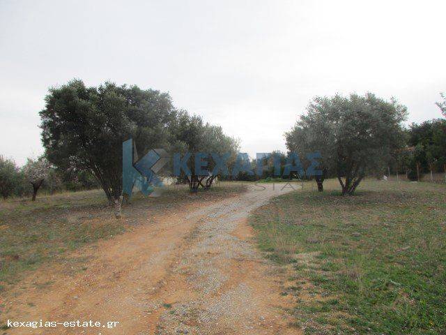 ΦΩΤΟ ΑΓΡΟΤΕΜΑΧΙΟΥ