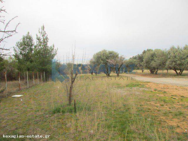 ΦΩΤΟ ΑΓΡΟΤΕΜΑΧΙΟΥ