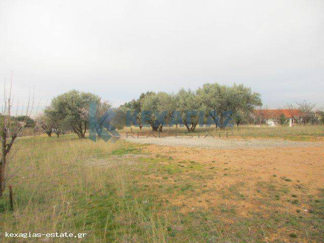 ΦΩΤΟ ΑΓΡΟΤΕΜΑΧΙΟΥ