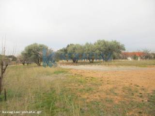 ΦΩΤΟ ΑΓΡΟΤΕΜΑΧΙΟΥ