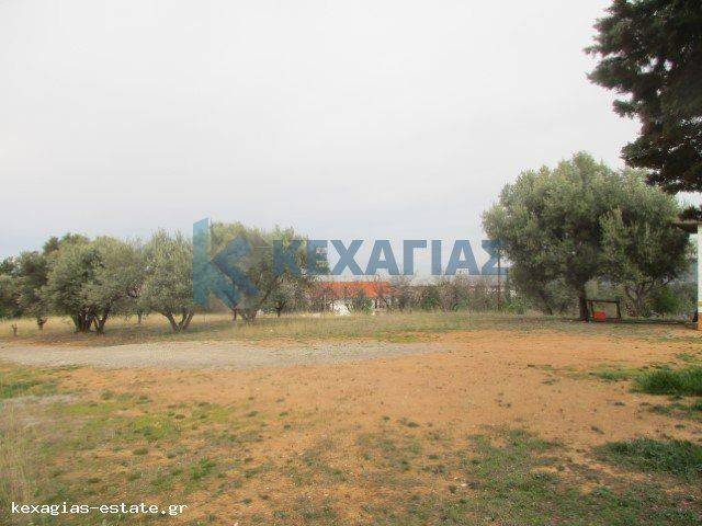 ΦΩΤΟ ΑΓΡΟΤΕΜΑΧΙΟΥ