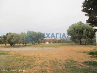 ΦΩΤΟ ΑΓΡΟΤΕΜΑΧΙΟΥ