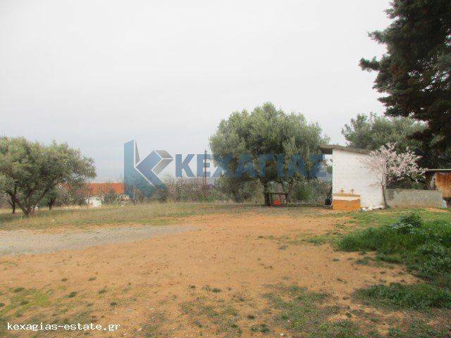 ΦΩΤΟ ΑΓΡΟΤΕΜΑΧΙΟΥ