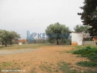 ΦΩΤΟ ΑΓΡΟΤΕΜΑΧΙΟΥ