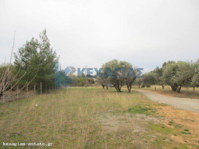 ΦΩΤΟ ΑΓΡΟΤΕΜΑΧΙΟΥ