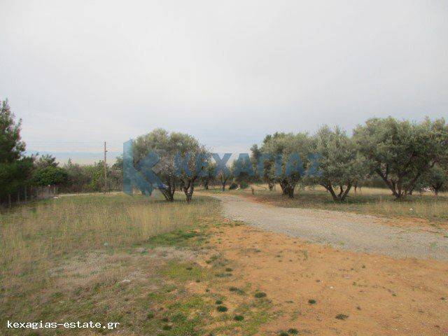 ΦΩΤΟ ΑΓΡΟΤΕΜΑΧΙΟΥ