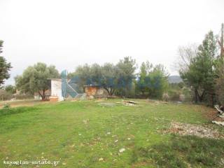 ΦΩΤΟ ΑΓΡΟΤΕΜΑΧΙΟΥ