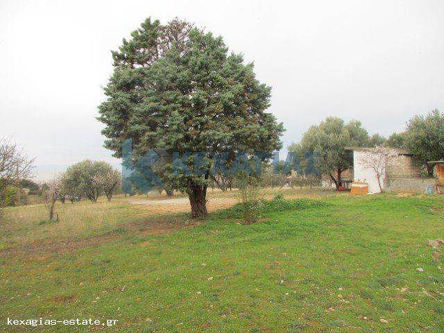 ΦΩΤΟ ΑΓΡΟΤΕΜΑΧΙΟΥ