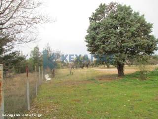 ΦΩΤΟ ΑΓΡΟΤΕΜΑΧΙΟΥ