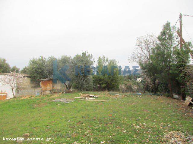 ΦΩΤΟ ΑΓΡΟΤΕΜΑΧΙΟΥ