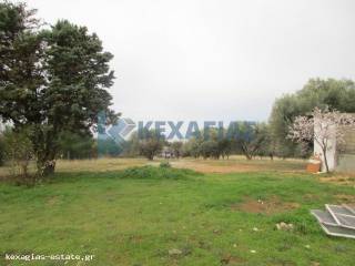 ΦΩΤΟ ΑΓΡΟΤΕΜΑΧΙΟΥ