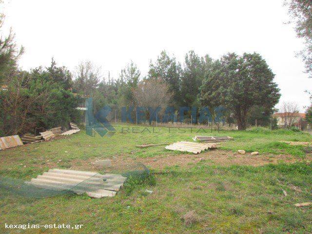 ΦΩΤΟ ΑΓΡΟΤΕΜΑΧΙΟΥ