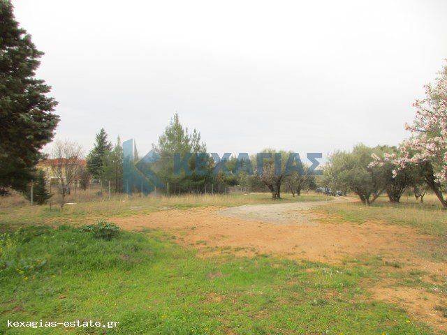 ΦΩΤΟ ΑΓΡΟΤΕΜΑΧΙΟΥ