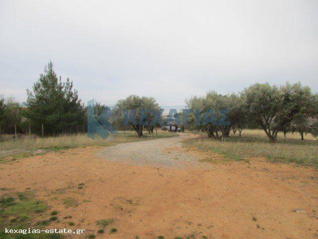 ΦΩΤΟ ΑΓΡΟΤΕΜΑΧΙΟΥ