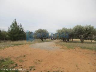 ΦΩΤΟ ΑΓΡΟΤΕΜΑΧΙΟΥ