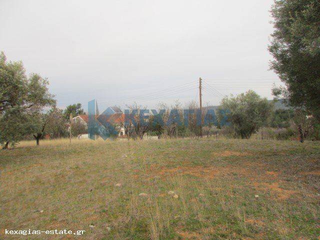 ΦΩΤΟ ΑΓΡΟΤΕΜΑΧΙΟΥ