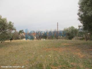 ΦΩΤΟ ΑΓΡΟΤΕΜΑΧΙΟΥ