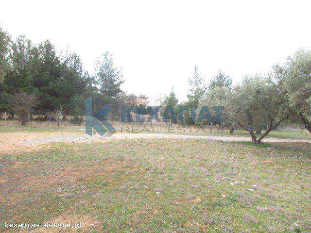 ΦΩΤΟ ΑΓΡΟΤΕΜΑΧΙΟΥ