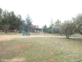 ΦΩΤΟ ΑΓΡΟΤΕΜΑΧΙΟΥ