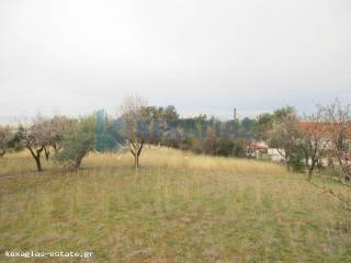 ΦΩΤΟ ΑΓΡΟΤΕΜΑΧΙΟΥ