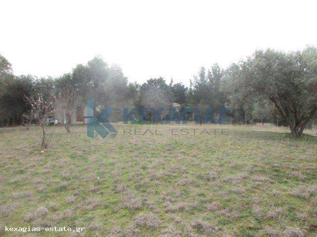 ΦΩΤΟ ΑΓΡΟΤΕΜΑΧΙΟΥ