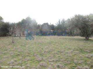 ΦΩΤΟ ΑΓΡΟΤΕΜΑΧΙΟΥ