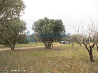 ΦΩΤΟ ΑΓΡΟΤΕΜΑΧΙΟΥ