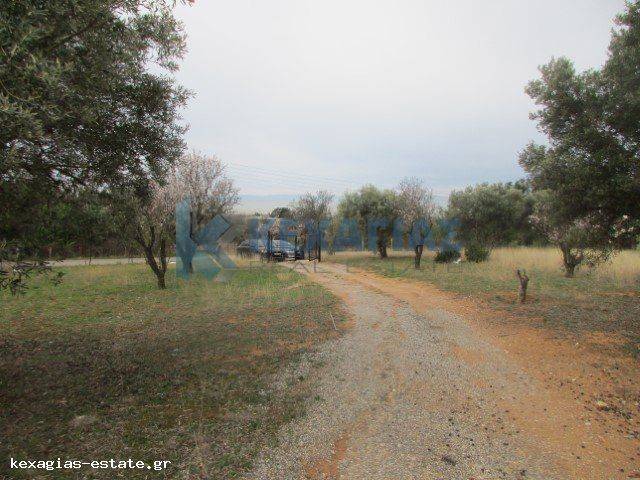 ΦΩΤΟ ΑΓΡΟΤΕΜΑΧΙΟΥ