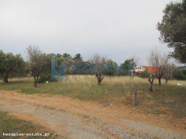 ΦΩΤΟ ΑΓΡΟΤΕΜΑΧΙΟΥ