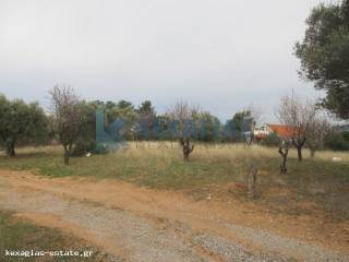 ΦΩΤΟ ΑΓΡΟΤΕΜΑΧΙΟΥ