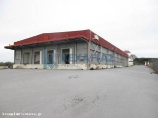 ΕΞΩΤΕΡΙΚΗ ΟΨΗ