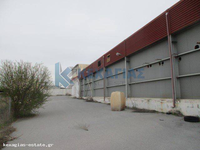 ΕΞΩΤΕΡΙΚΗ ΟΨΗ