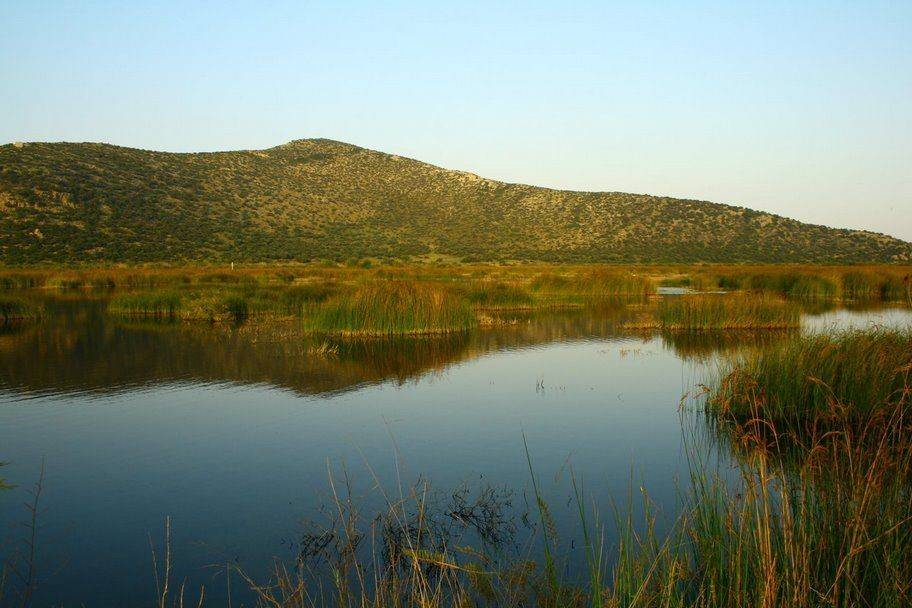 National Park of Schinias - biotope