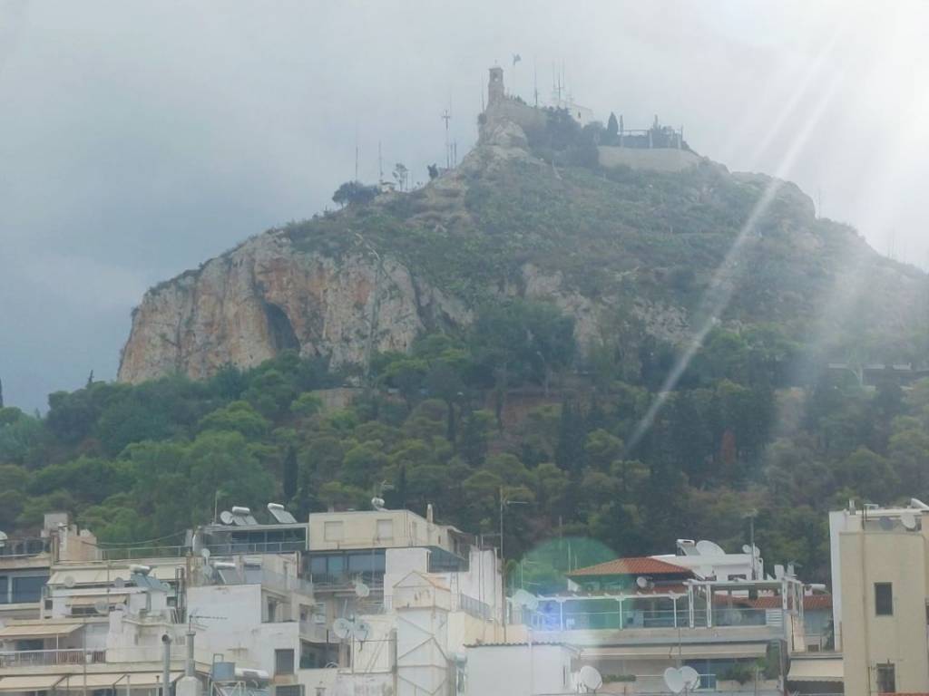 ΘΕΑ ΑΠΟ ROOFGARDEN