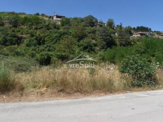 ΑΠΟΨΗ ΟΙΚΟΠΕΔΟΥ